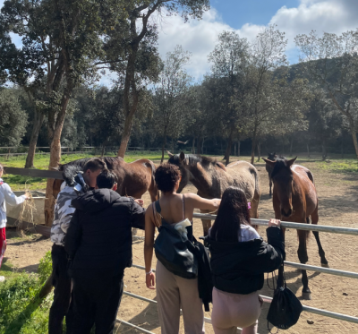 Conectando con la naturaleza y los animales: salidas terapéuticas con adolescentes en Ita Argentona