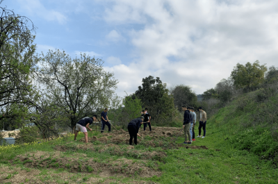 El nuevo huerto de ACUDE Málaga: una nueva actividad terapéutica para el grupo de TC