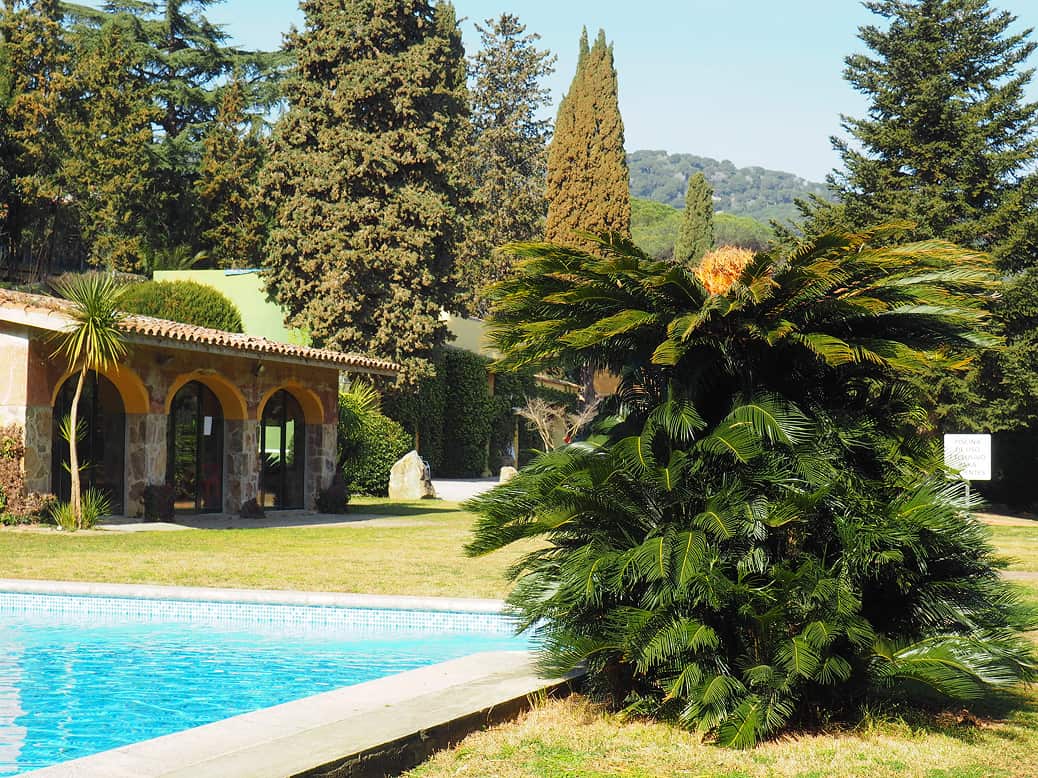 Perspectiva de una casa de corte clásico, un arbusto y piscina 