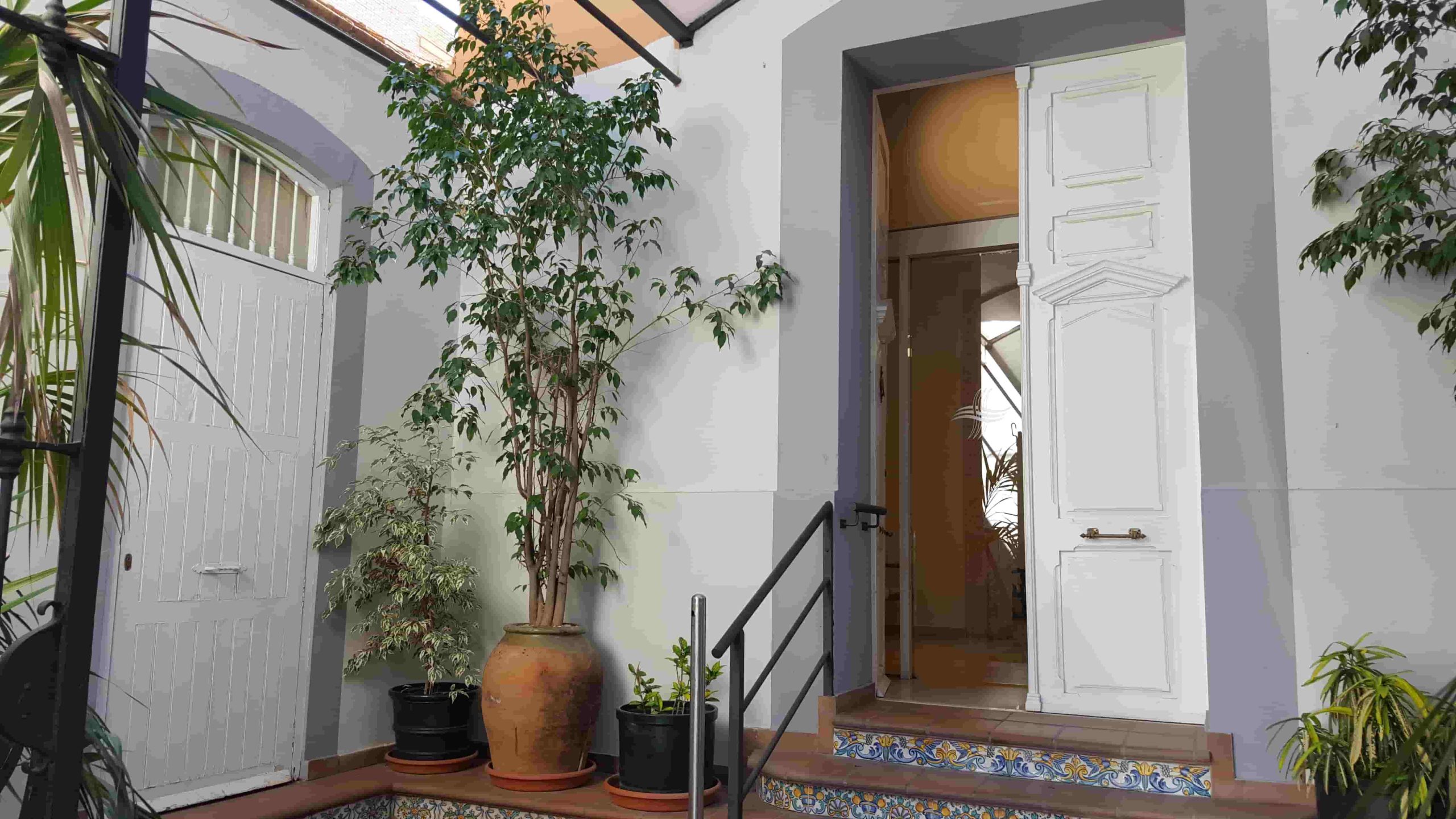 Entrada a chalet bajo con patio y vegetación