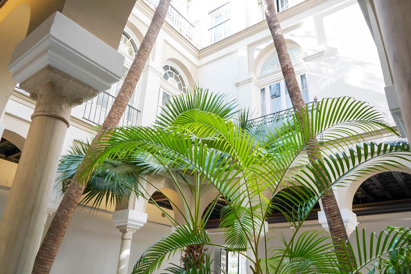 Patio interior de Ita Vidrio con vegetación tropical y arquitectura de estilo clásico
