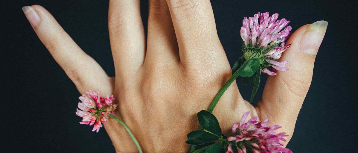 Flores creciendo de una herida