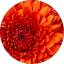 E “Sunshine” Bertos Avatar